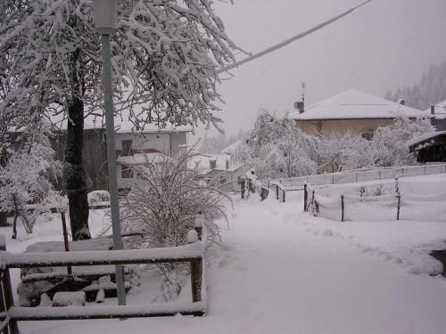 Outdoor Pictures 24
