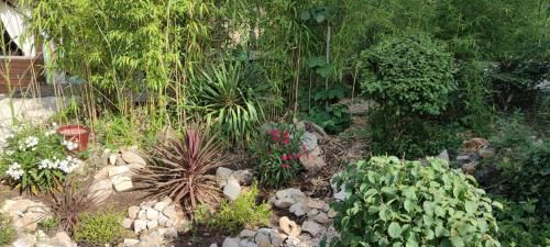 Outdoor Pictures 21