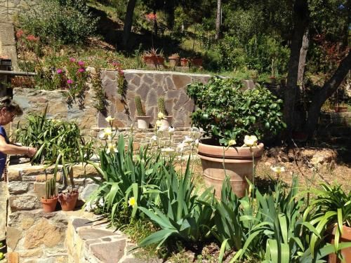 Outdoor Pictures 9