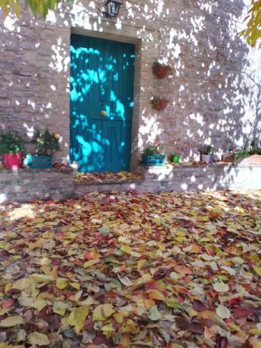 Outdoor Pictures 15
