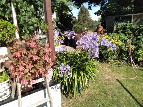 Outdoor Pictures 9