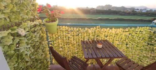 Outdoor Pictures 13