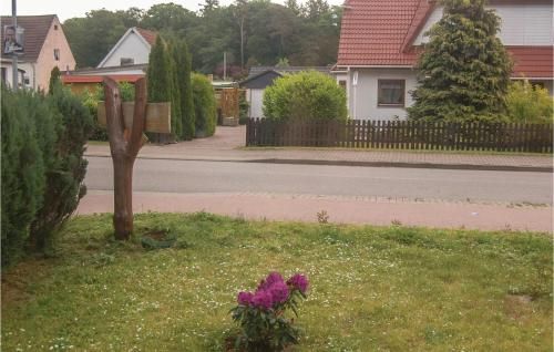 Outdoor Pictures 8