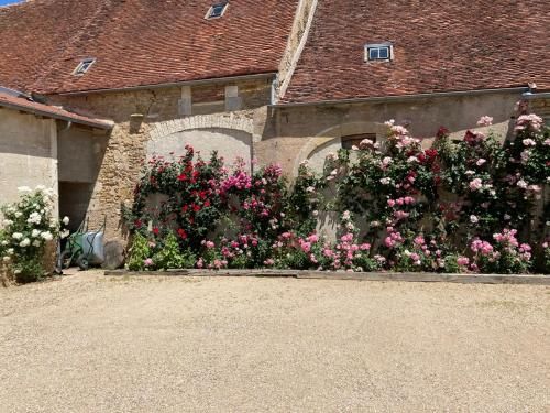 Outdoor Pictures 7