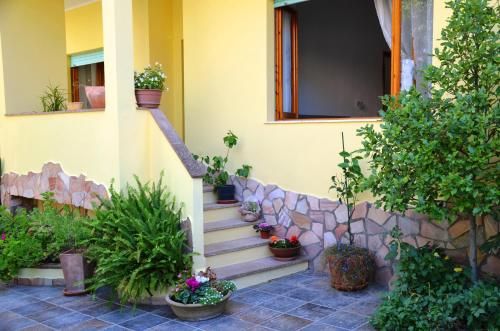 Outdoor Pictures 23