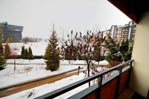 Outdoor Pictures 2