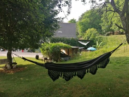 Outdoor Pictures 6