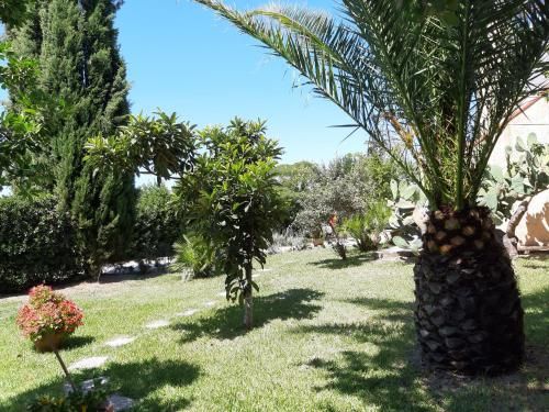 Appartamento in Casale