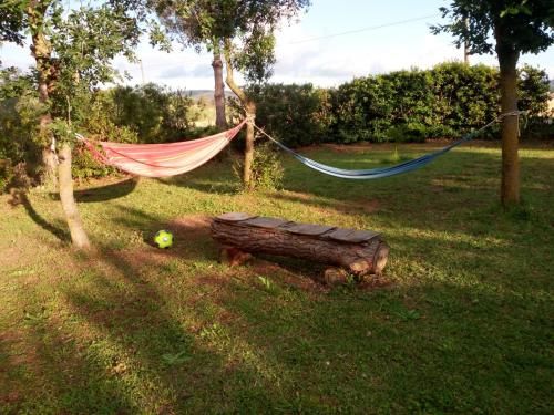 Outdoor Pictures 5
