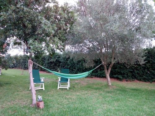 Outdoor Pictures 6