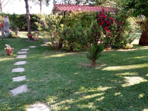 Outdoor Pictures 16