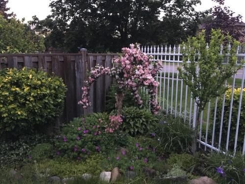 Outdoor Pictures 7