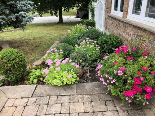 Outdoor Pictures 8