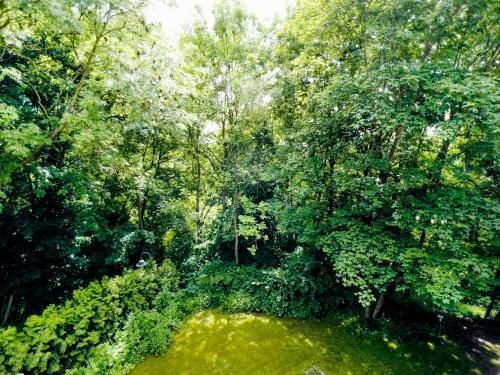 Outdoor Pictures 9