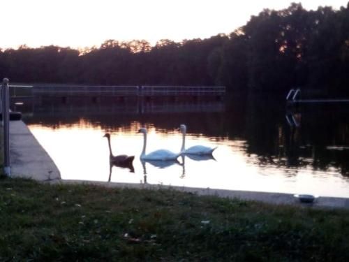 Outdoor Pictures 12