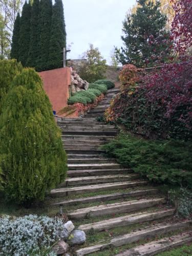 Outdoor Pictures 4