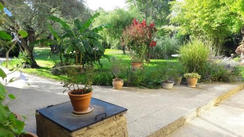 Outdoor Pictures 21
