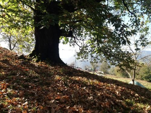 Outdoor Pictures 22