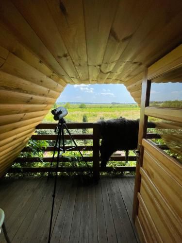 Outdoor Pictures 15