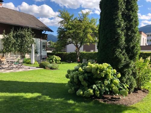 Outdoor Pictures 7