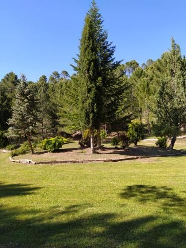 Outdoor Pictures 10