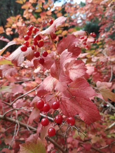 Outdoor Pictures 20