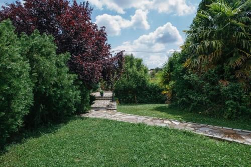 Outdoor Pictures 22