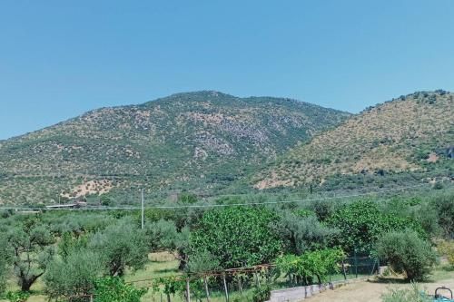 Outdoor Pictures 23