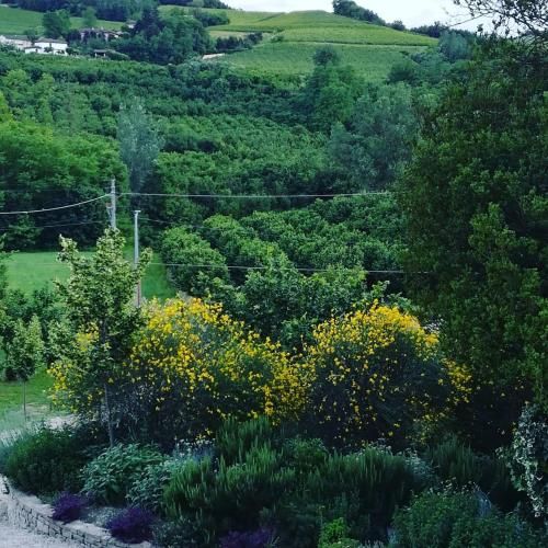 Outdoor Pictures 9