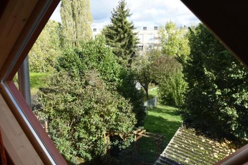Outdoor Pictures 17