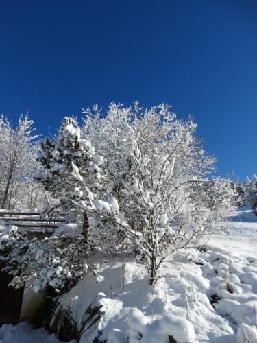 Outdoor Pictures 20