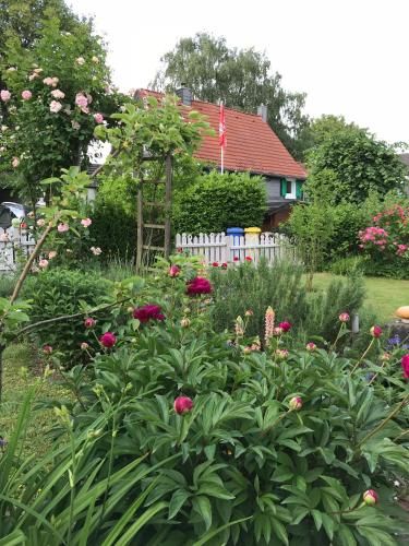 Outdoor Pictures 11
