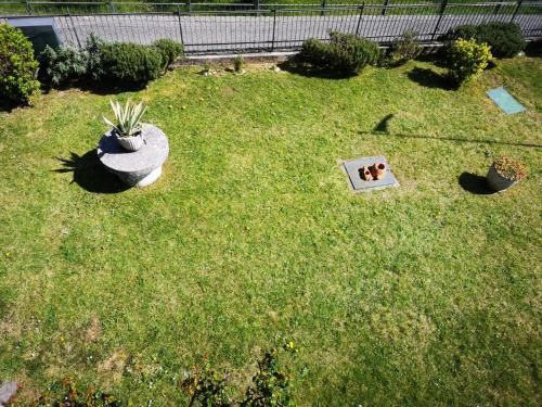 Outdoor Pictures 16