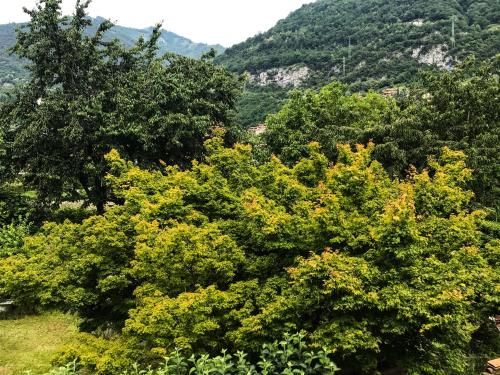 Outdoor Pictures 22