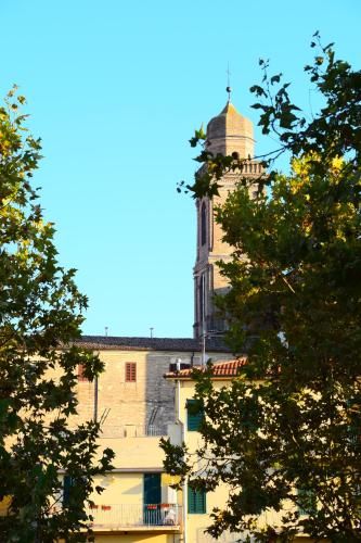 Outdoor Pictures 21