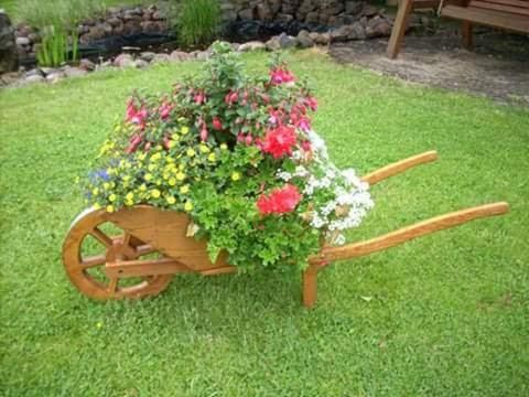 Outdoor Pictures 18