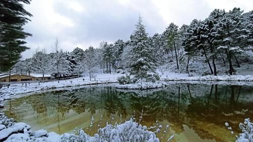 Outdoor Pictures 24