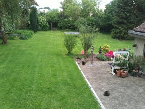 Outdoor Pictures 8