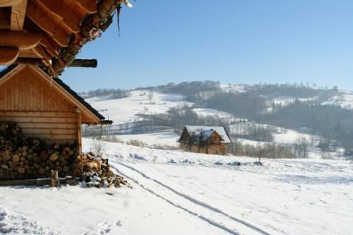 Outdoor Pictures 11