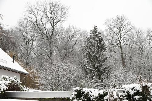 Outdoor Pictures 23