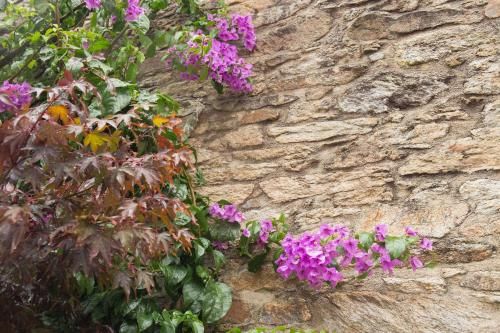 Outdoor Pictures 22