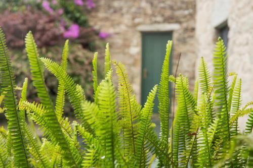 Outdoor Pictures 23