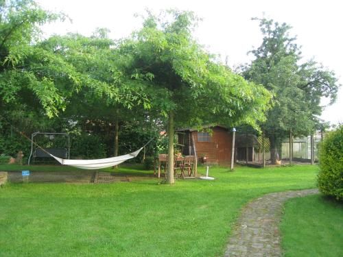 Outdoor Pictures 19
