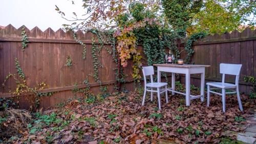 Outdoor Pictures 12