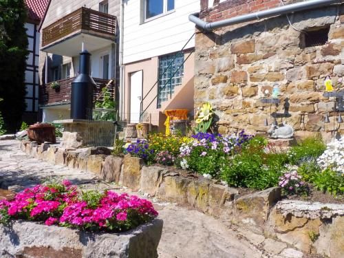 Outdoor Pictures 7