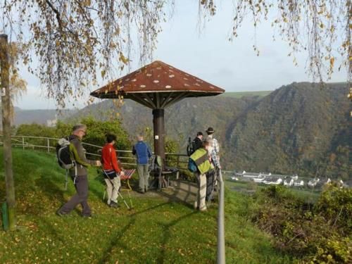 Outdoor Pictures 24