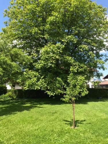 Outdoor Pictures 5