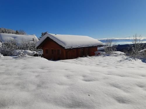 The Guesthouse
