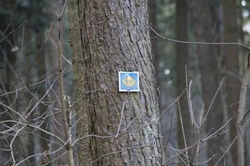 Outdoor Pictures 11
