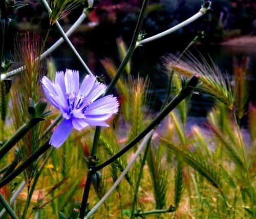 Outdoor Pictures 4
